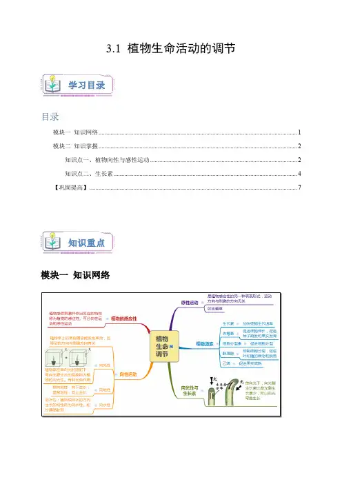 植物生命活动的调节(原卷版)