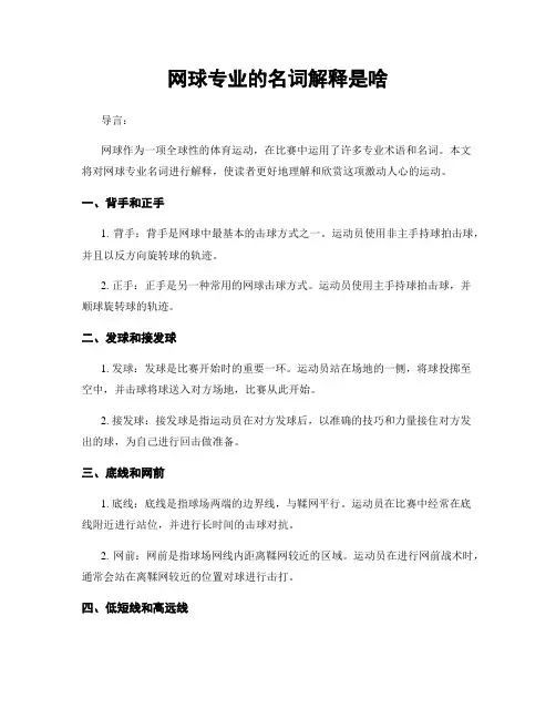 网球专业的名词解释是啥