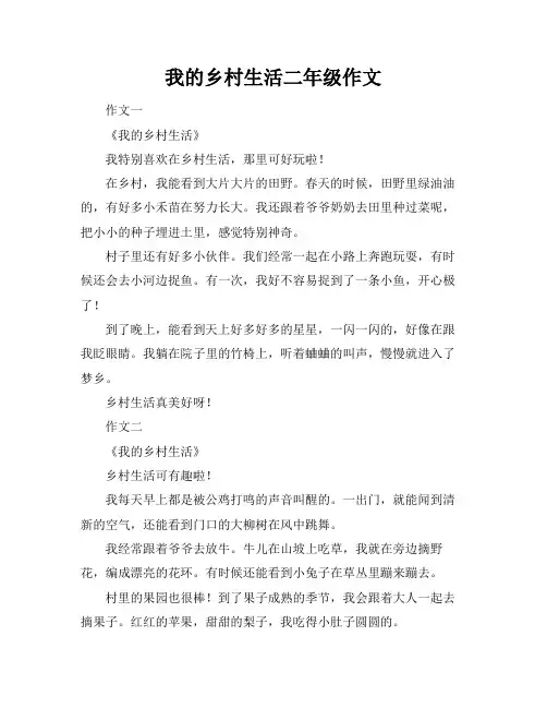 我的乡村生活二年级作文