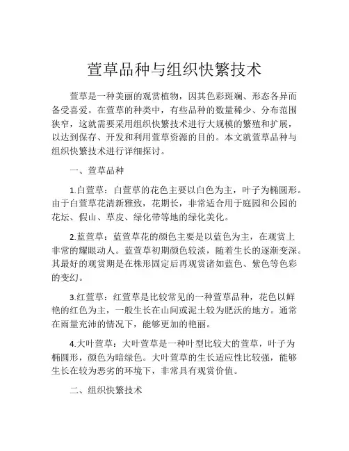 萱草品种与组织快繁技术