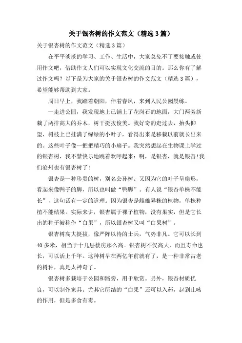关于银杏树的作文范文(精选3篇)