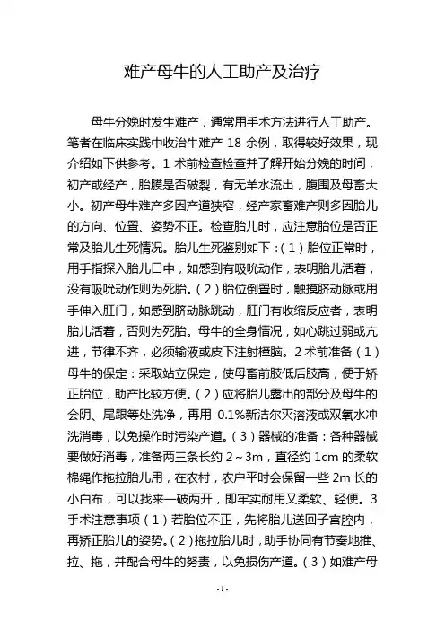 难产母牛的人工助产及治疗