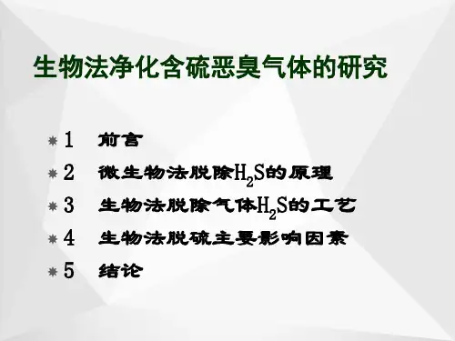 生物法净化恶臭ppt