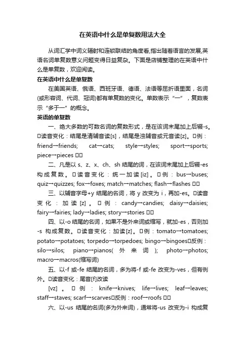 在英语中什么是单复数用法大全