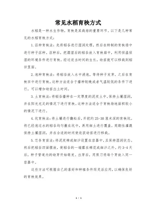 常见水稻育秧方式