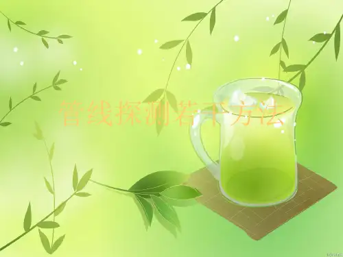 管线探测若干方法优秀PPT