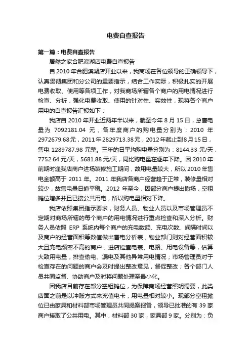 电费自查报告