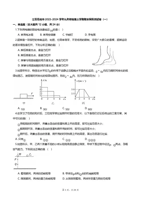 江苏苏州市2023-2024学年九年级物理上学期期末模拟测试卷(含解析)