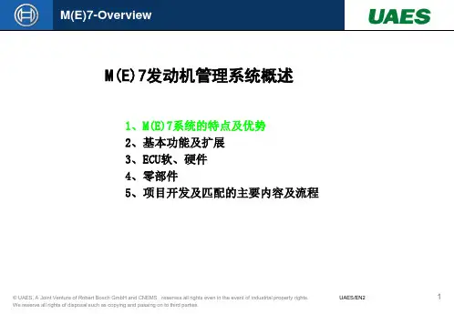 BOSCHEMS系统概述.ppt