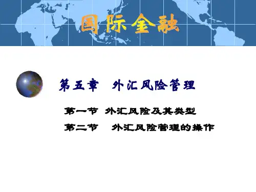 国际金融学之 外汇风险管理(精品PPT共22页)