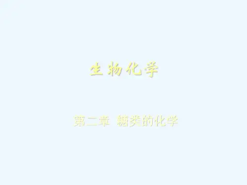 生物化学课件糖