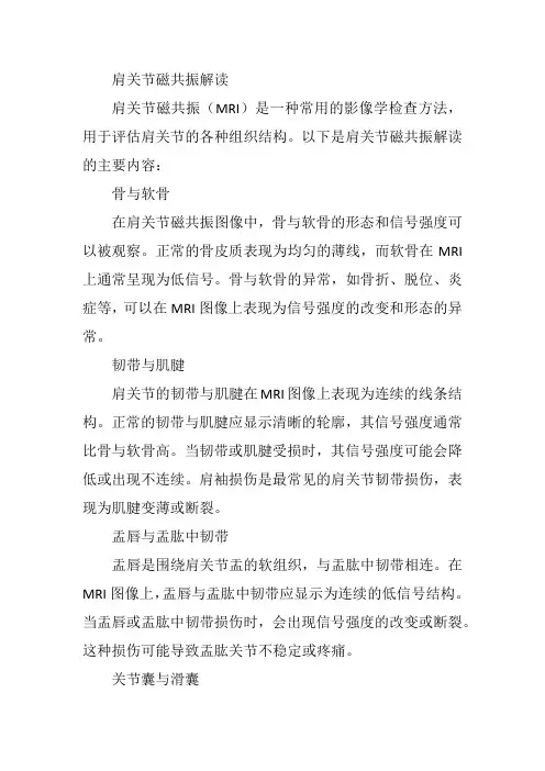 肩关节磁共振解读