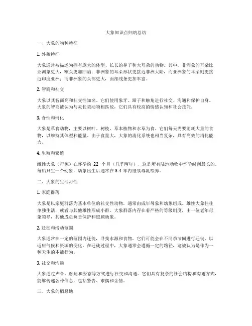 大象知识点归纳总结