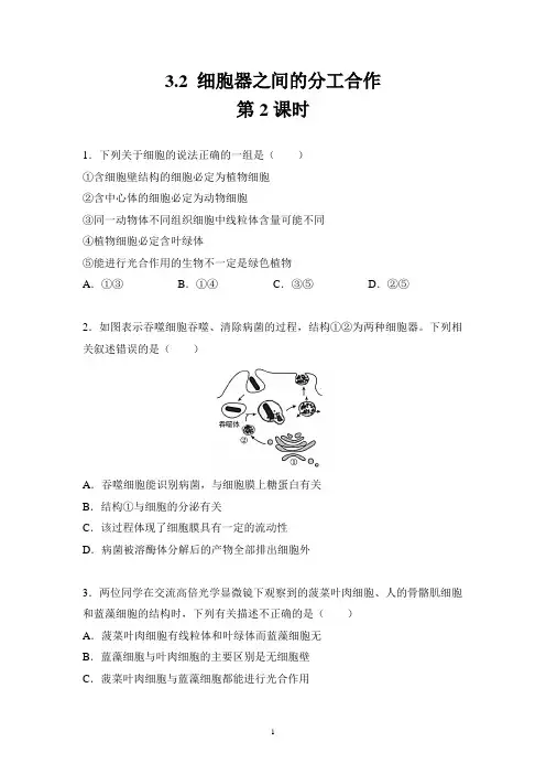 3.2 细胞器之间的分工合作 第2课时