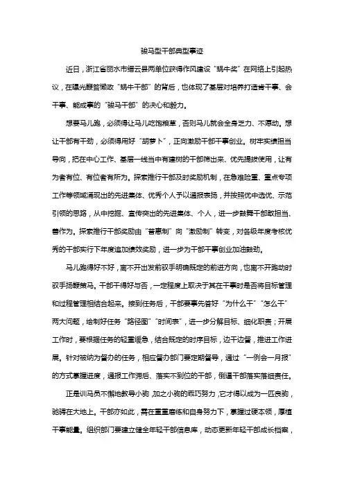 骏马型干部典型事迹