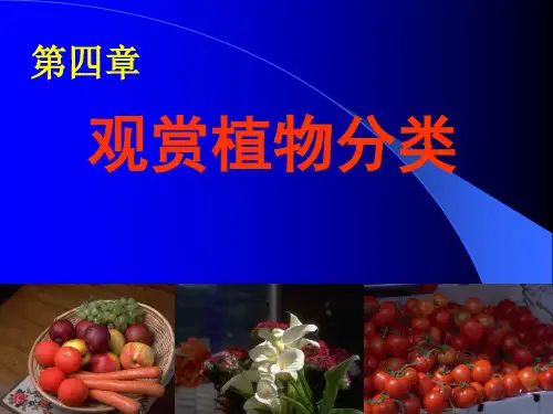 园艺学通论：第四章 观赏植物分类
