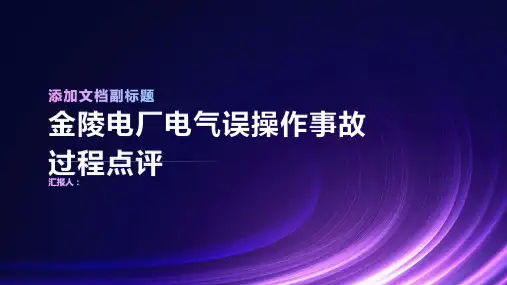 金陵电厂电气误操作事故过程点评
