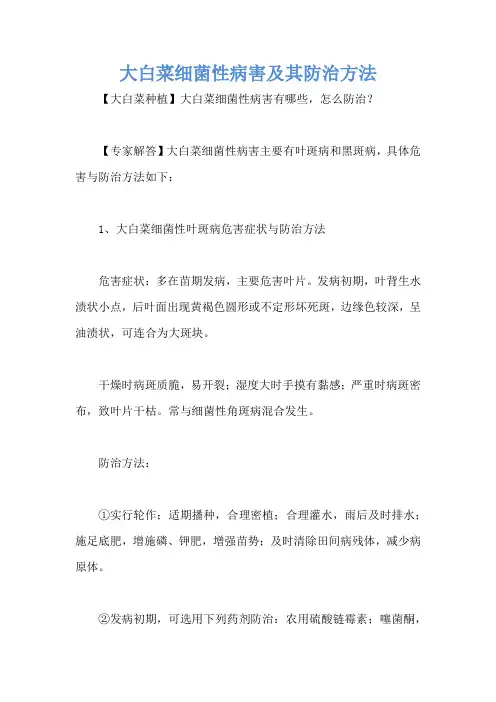 大白菜细菌性病害及其防治方法