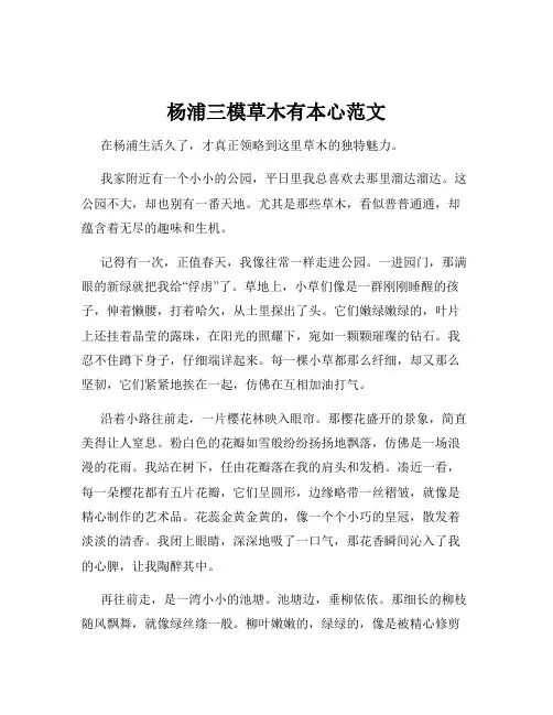 杨浦三模草木有本心范文