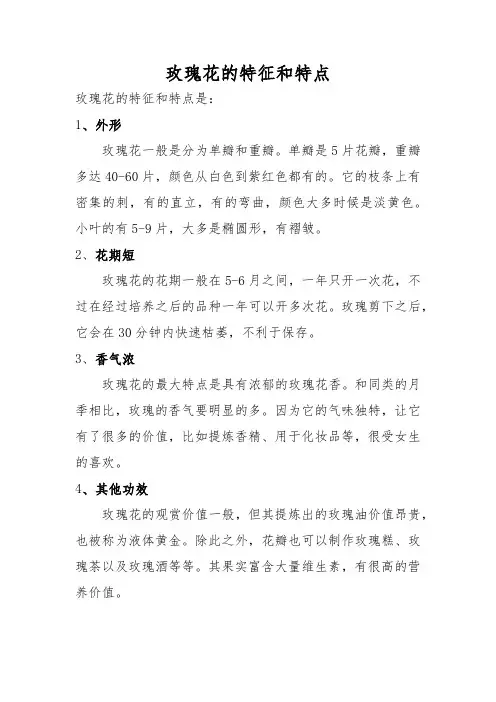 玫瑰花的特征和特点