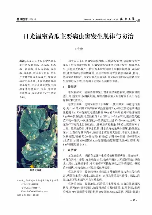 日光温室黄瓜主要病虫害发生规律与防治