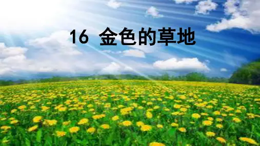 《金色的草地》ppt优质课件人教部编版语文2