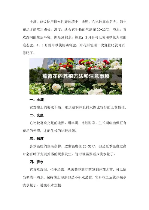 蔷薇花的养殖方法和注意事项_1