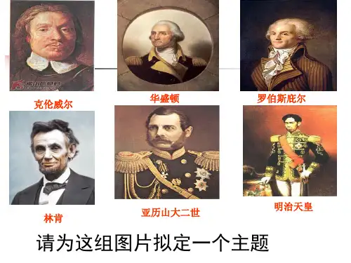 资本主义制度的确立和发展