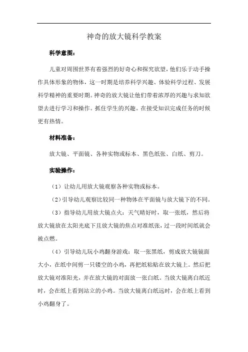 神奇的放大镜科学教案
