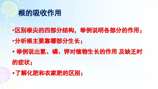 冀少版八年级上册生物第三单元第二章根的吸收作用复习