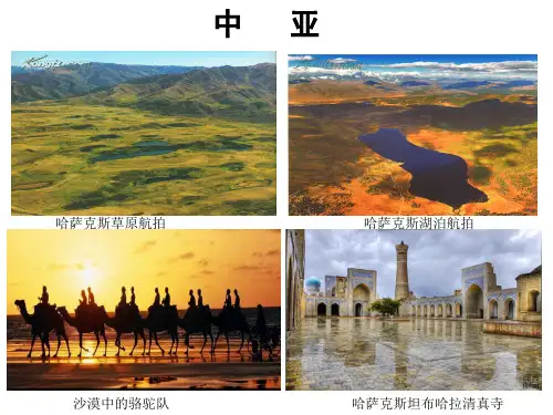 内流湖咸水湖中亚的河流湖泊阿姆河帕米尔高原春夏汛为主