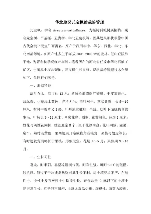 华北地区元宝枫的栽培管理