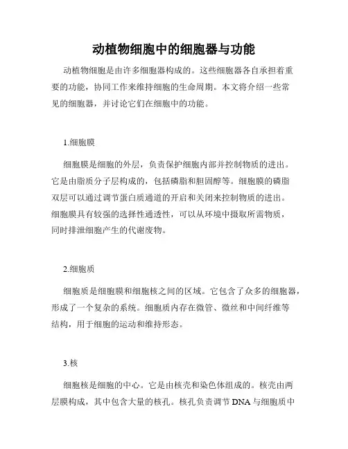 动植物细胞中的细胞器与功能