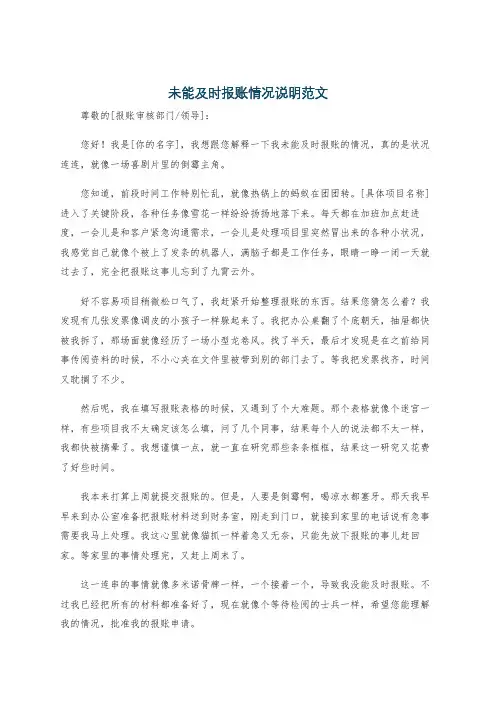 未能及时报账情况说明范文