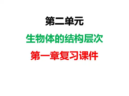 人教版七年级生物上册第二单元第一章细胞是生命活动的基本单位