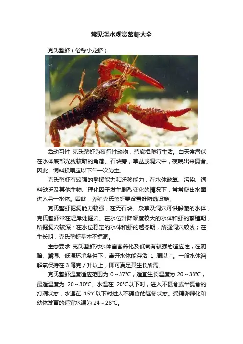 常见淡水观赏鳌虾大全