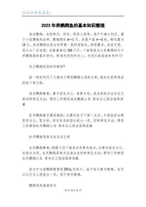 2023年养鹦鹉鱼的基本知识整理