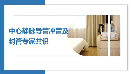 中心静脉导管冲管及封管专家共识2022