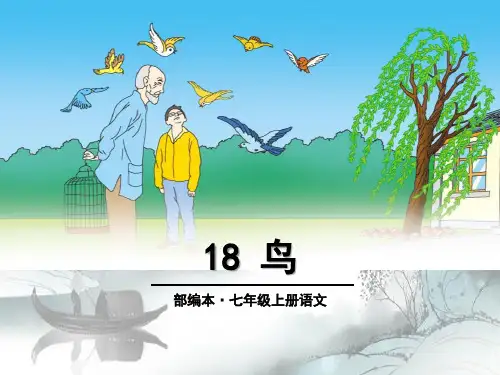 《鸟》PPT演示课件