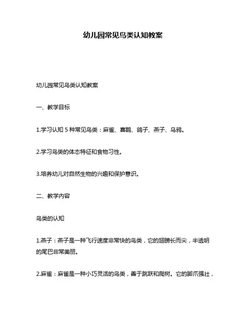 幼儿园常见鸟类认知教案