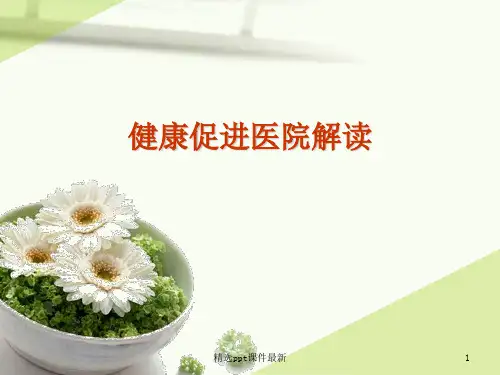 健康促进医院解读ppt课件