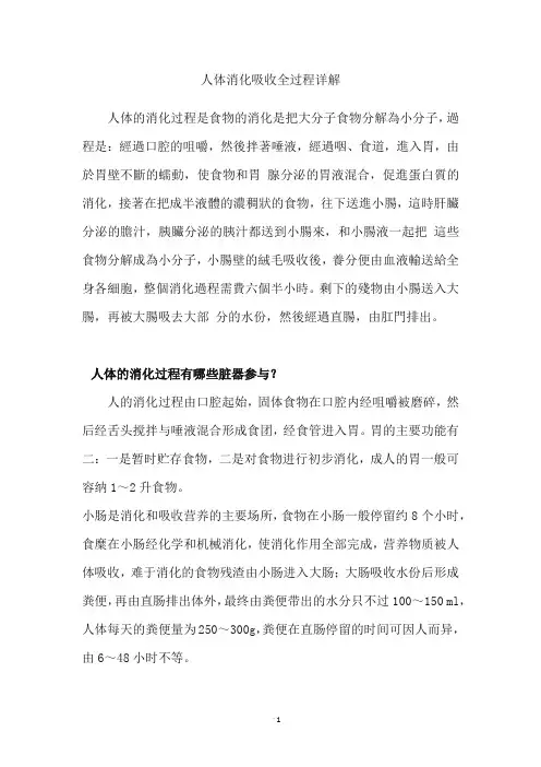 人体消化吸收全过程详解