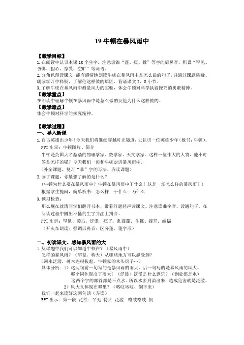 19、牛顿在暴风雨中