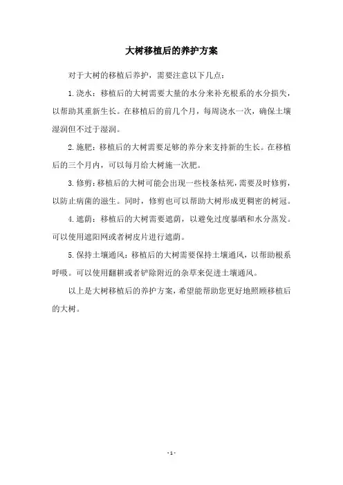 大树移植后的养护方案