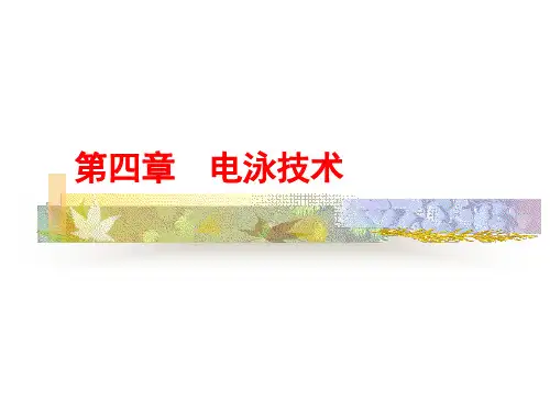 电泳技术优秀PPT讲义