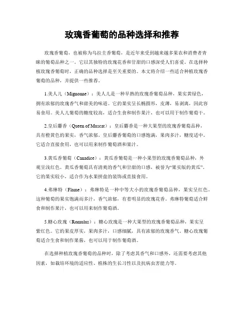 玫瑰香葡萄的品种选择和推荐