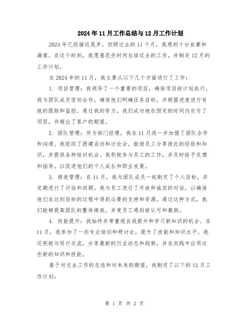 2024年11月工作总结与12月工作计划