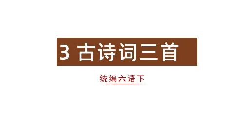 六年级下册3.古诗三首之《十五夜望月》课件(19张PPT)