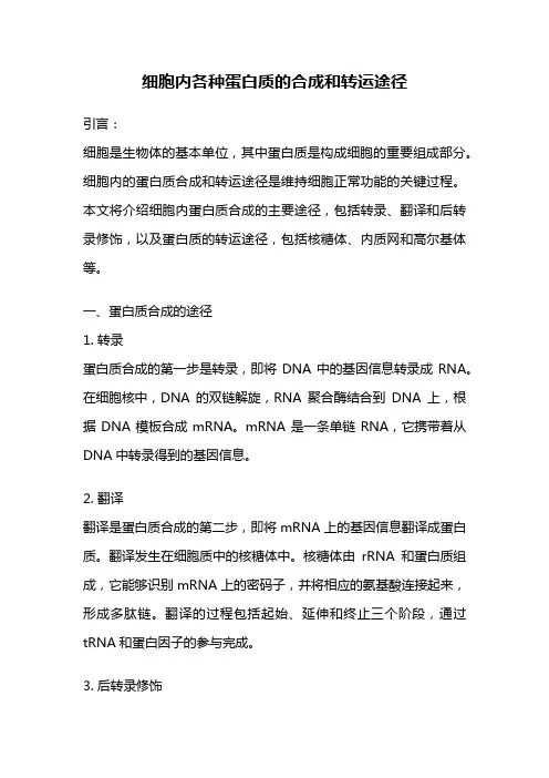 细胞内各种蛋白质的合成和转运途径