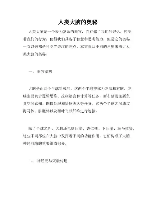 人类大脑的奥秘
